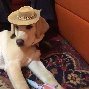 Meet your Posher, Norma